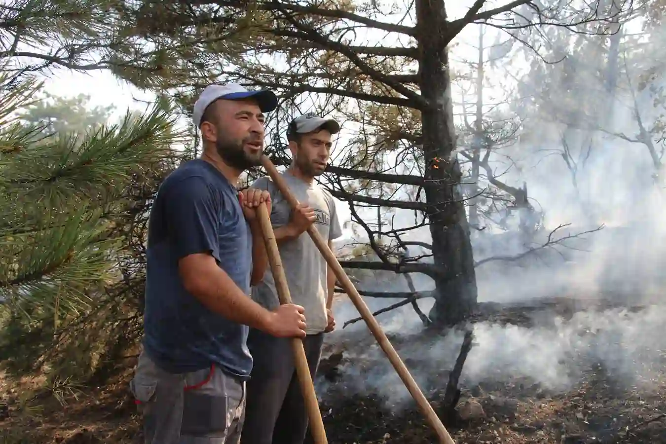 Kütahya orman yangını ile ilgili ilk açıklama Vali Işın’dan