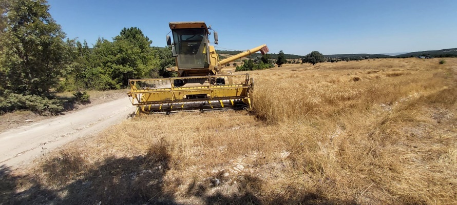 Kütahya’da biçerdöver ve hasat denetimi yapıldı