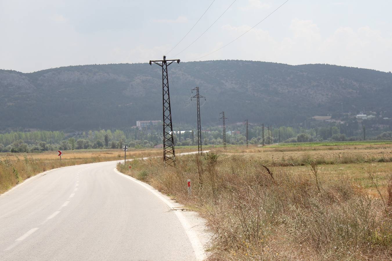 kütahya da onlarca leylek elektrik akımına kapıldı