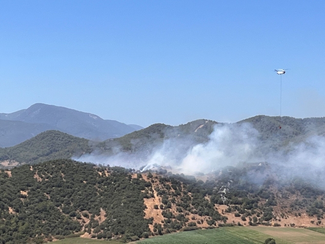 Muğla'da zeytinlik ve malilik alanlarda çıkan yangın söndürüldü