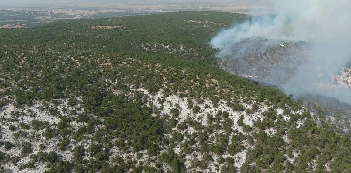 Kütahya'da orman yangını çıktı