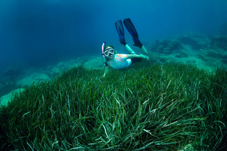 Alanya dalış turizmi