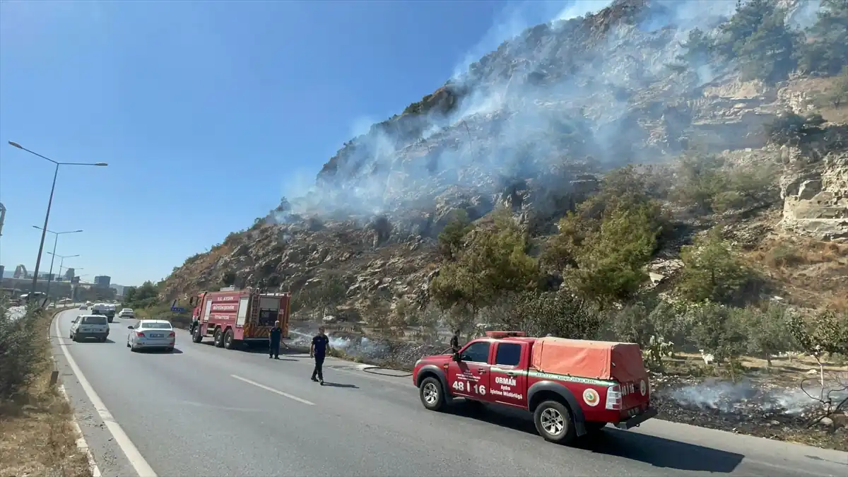 Aydın'da ağaçlık alanda orman yangını çıktı