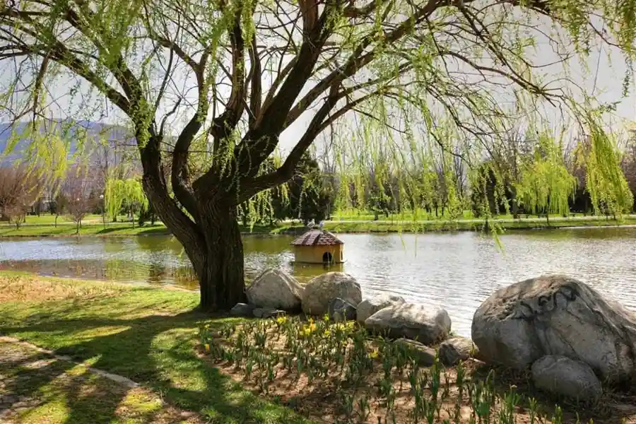 Bursa Hayvanat Bahçesi – Botanik Park