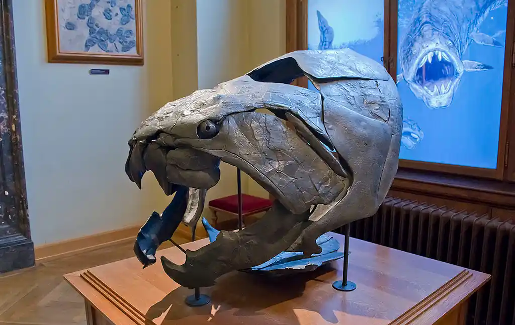 Dunkleosteus