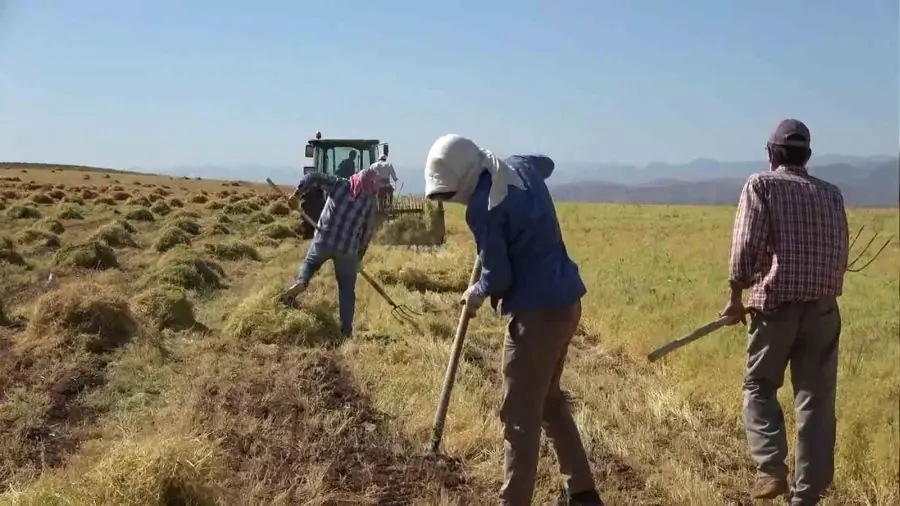 Kütahya İl Tarımdan ÇKS başvuru duyurusu geldi