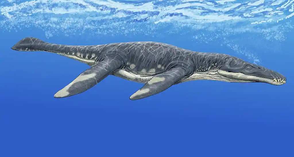 Liopleurodon