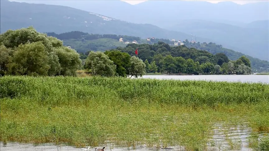 Sakarya – Sapanca