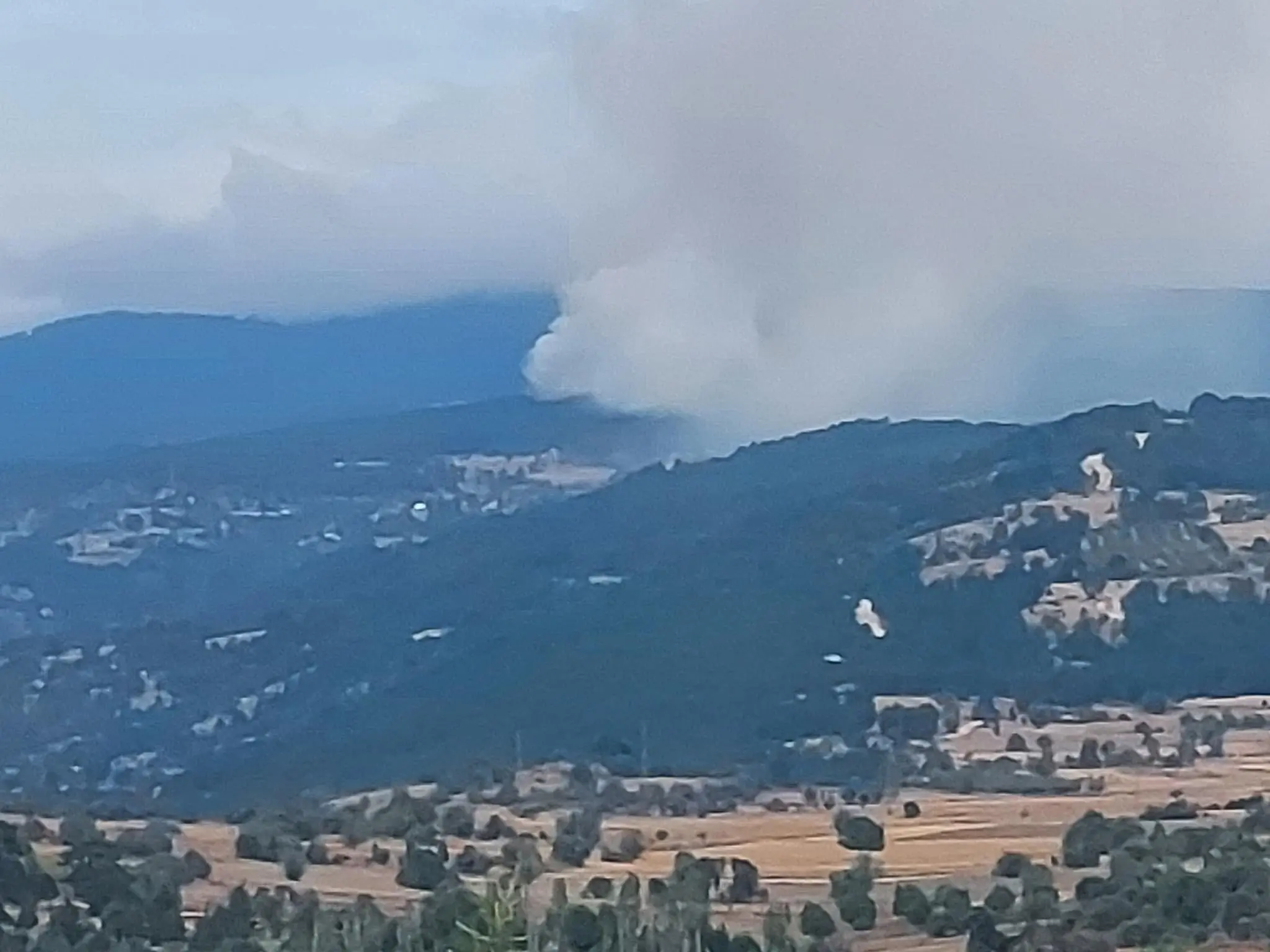 Kütahya’da yine orman yangını