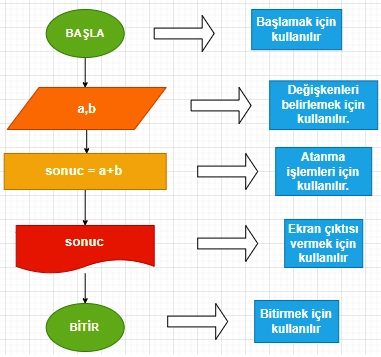 algoritma nedir