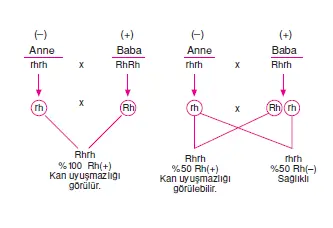 Kan uyuşmazlığı