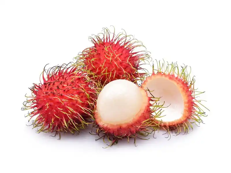 Rambutan meyvesi nedir