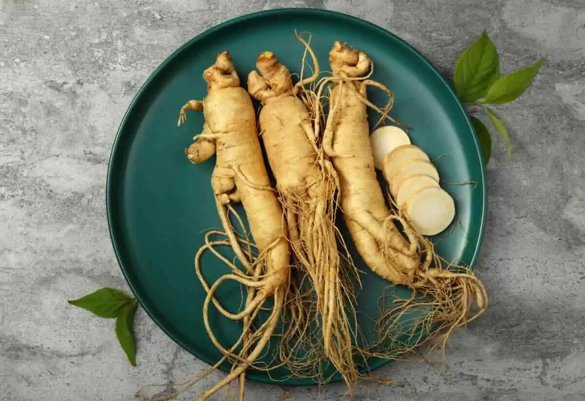 ginseng-nedir