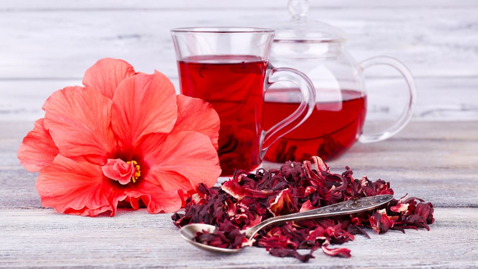 hibiskus nedir faydaları nelerdir