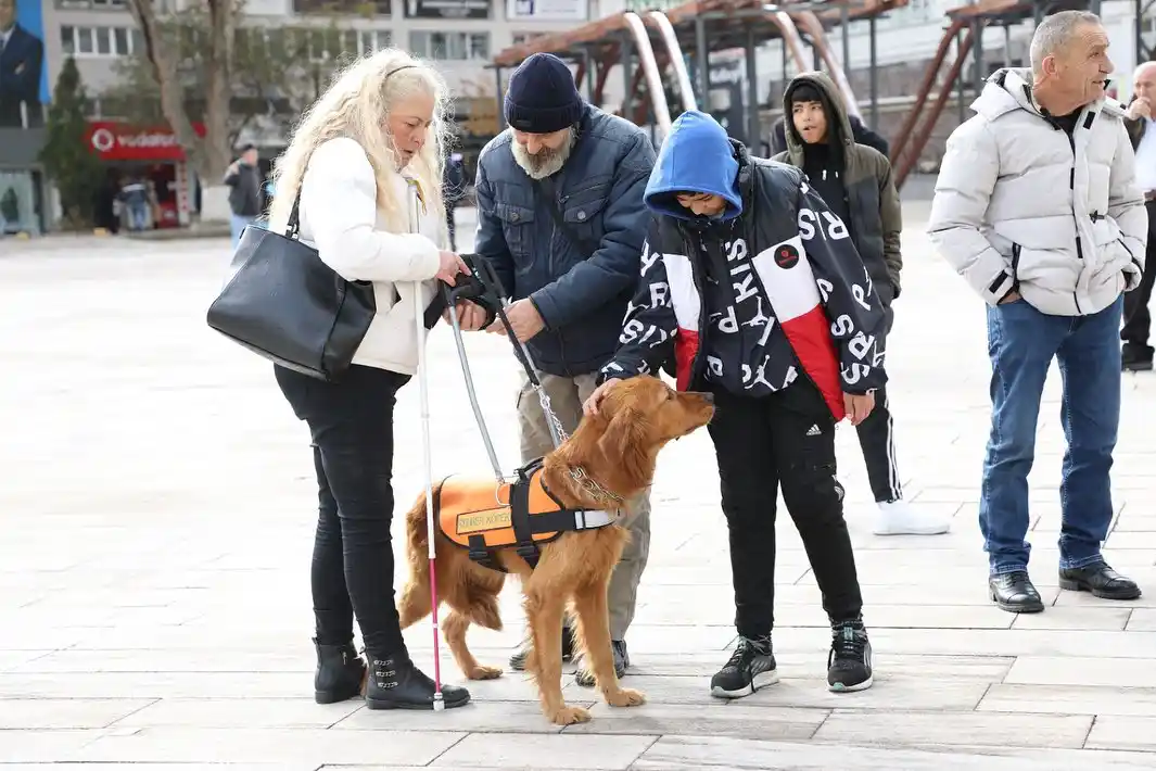 Kütahya’da sokak hayvanları için mama dağıtıldı 