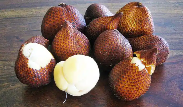Yılan Meyvesi (Salak Pondoh)