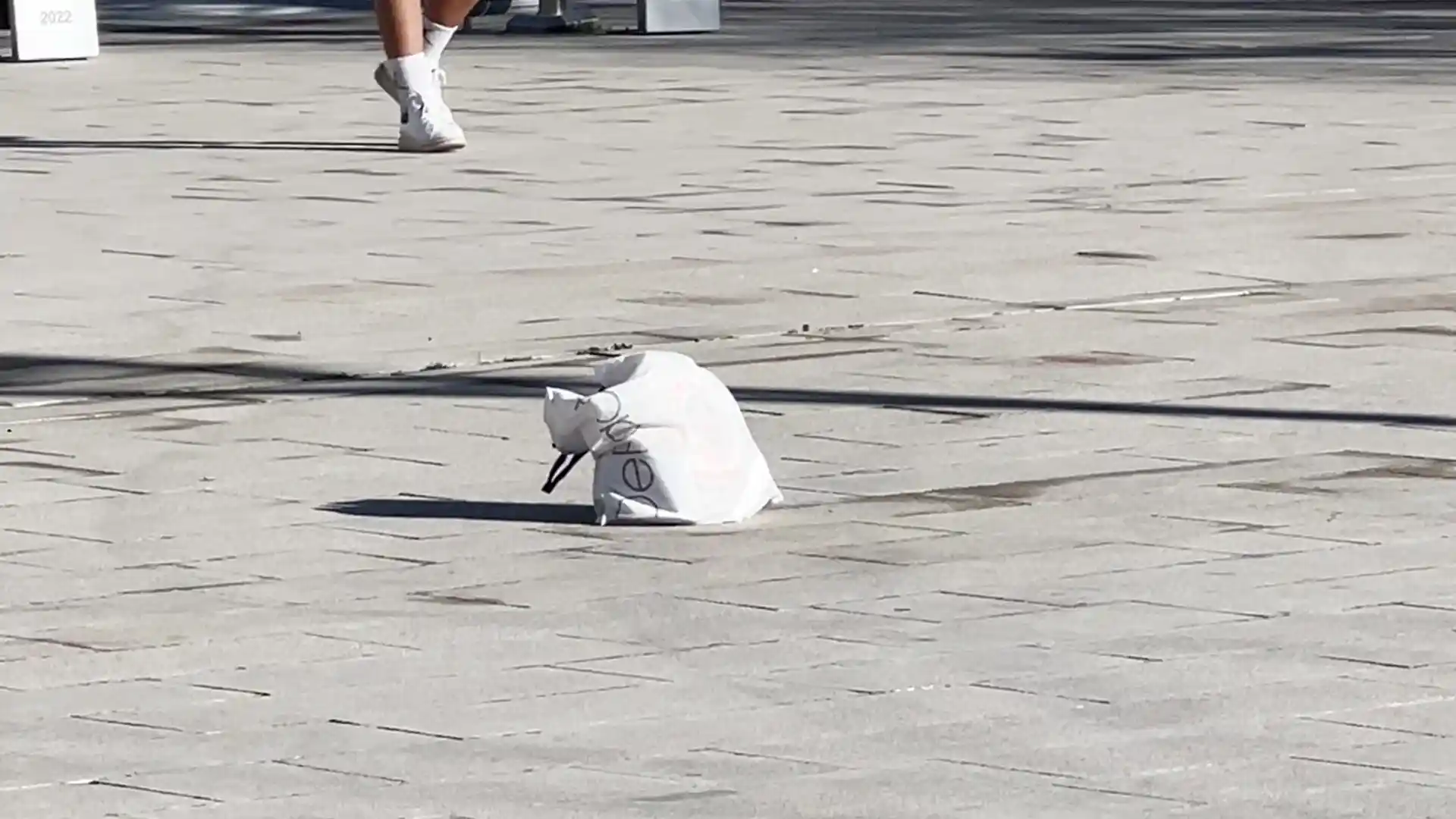 Kütahya'da meydandaki şüpheli çanta polisi alarma geçirdi