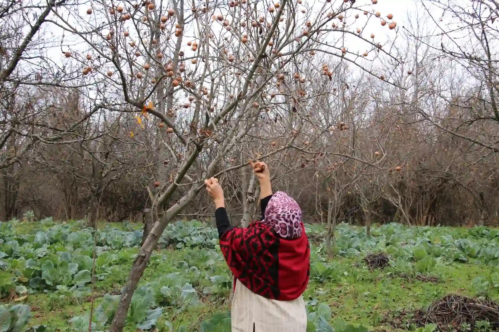 Kütahya’da kadınlar hayalleri için azimle çalışıyor 