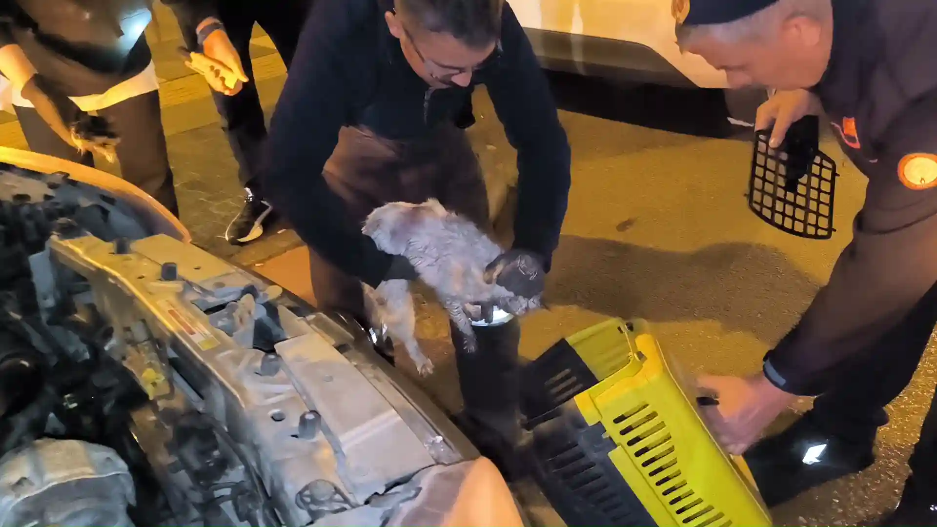 Kütahya’da otomobilin motoruna sıkışan kedi kurtarıldı 