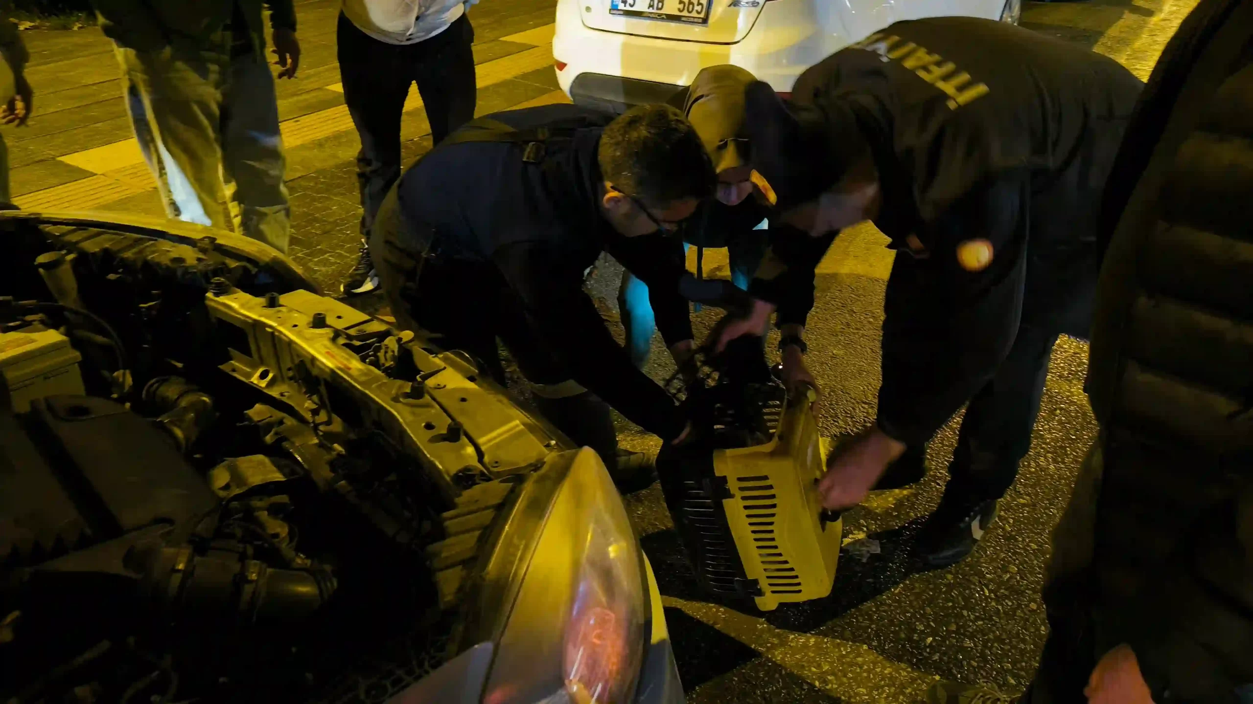 Kütahya’da otomobilin motoruna sıkışan kedi kurtarıldı 