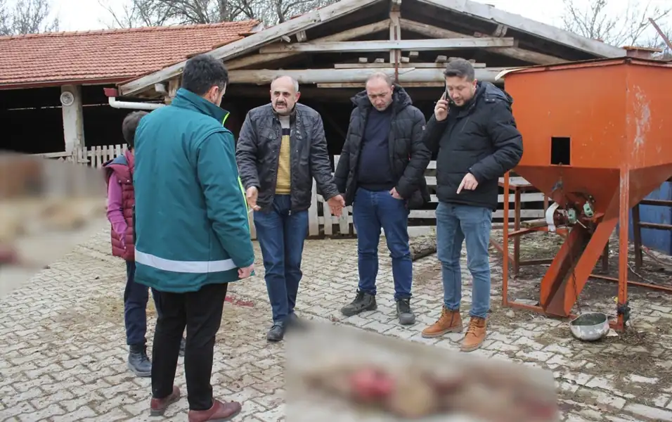 Kütahya'da sokak köpekleri ağıldaki hayvanlara saldırdı