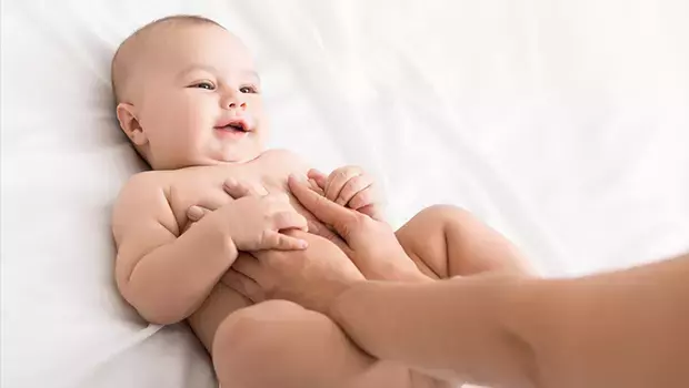 Pişiğe Ne İyi Gelir