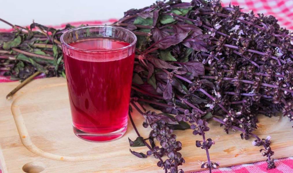 Reyhan Nasıl Tüketilir