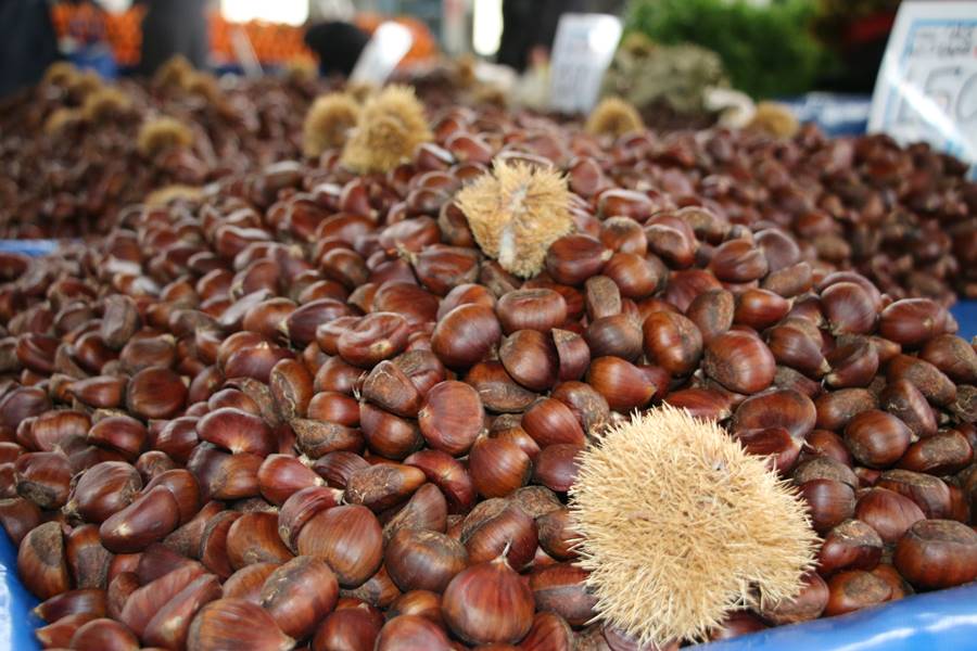 Kütahya’da Çin kestanesi tezgahlarda satılıyor mu?