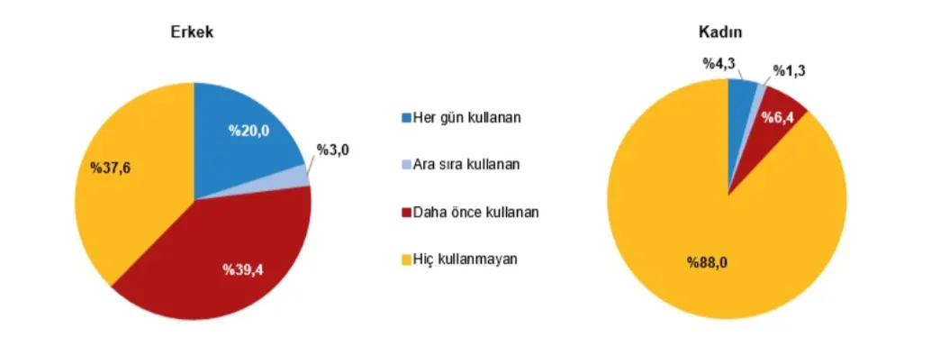 Cinsiyete göre 65+ yaştaki kişilerin tütün mamulü kullanma durumu, 2023