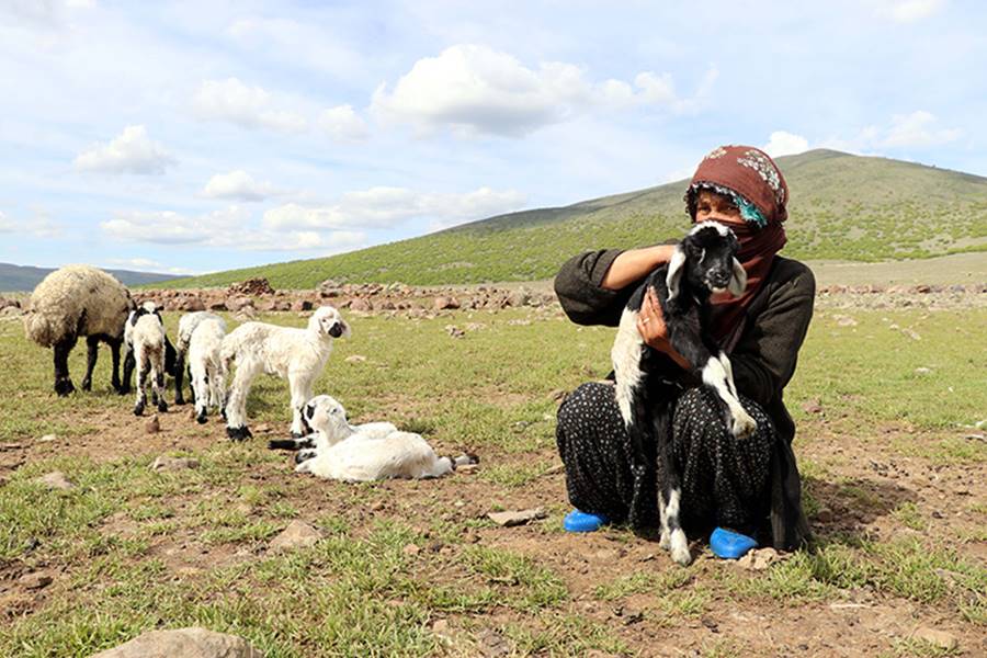 Göçer annelerin ömrü yolda ve çadırda geçiyor