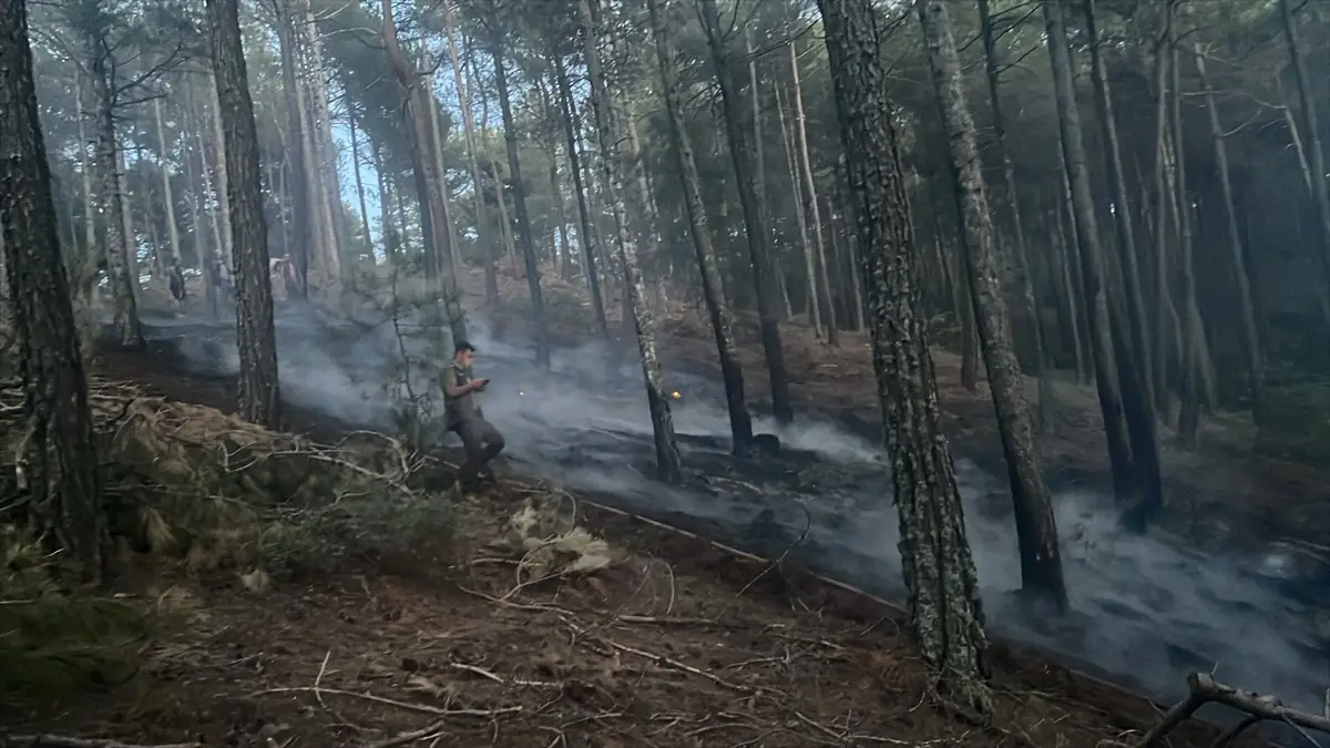 Muğla'da çıkan orman yangını söndürüldü