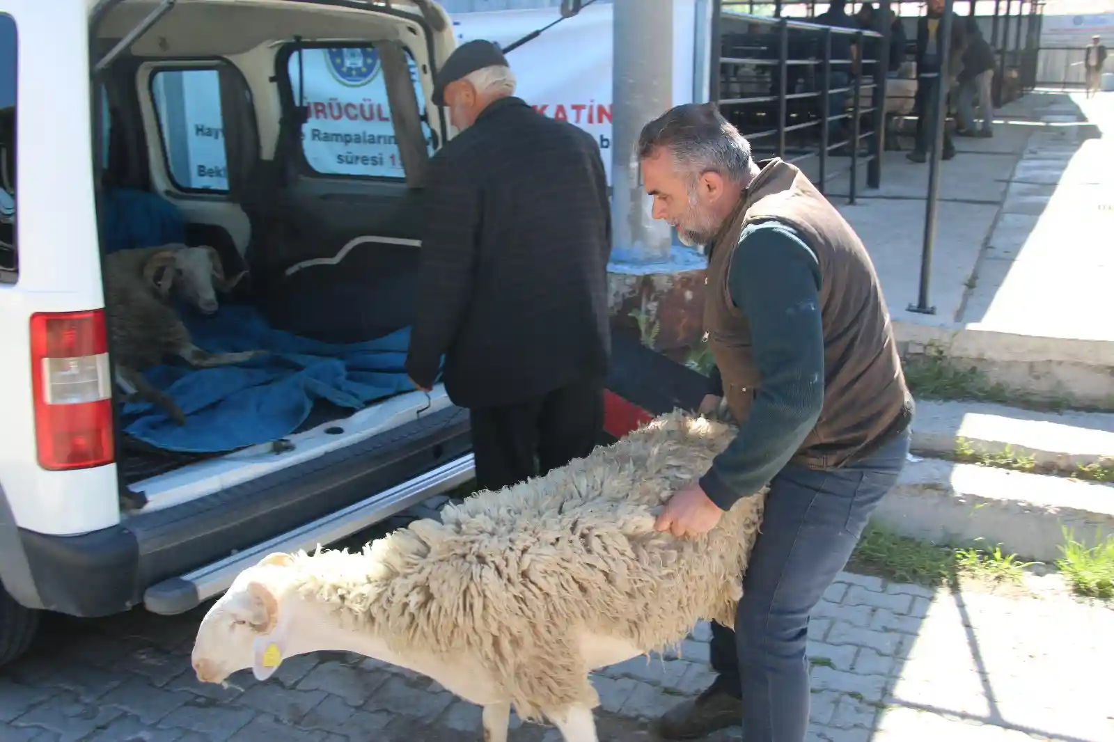 Kütahya’da kurbanlık pazarlıkları başladı 