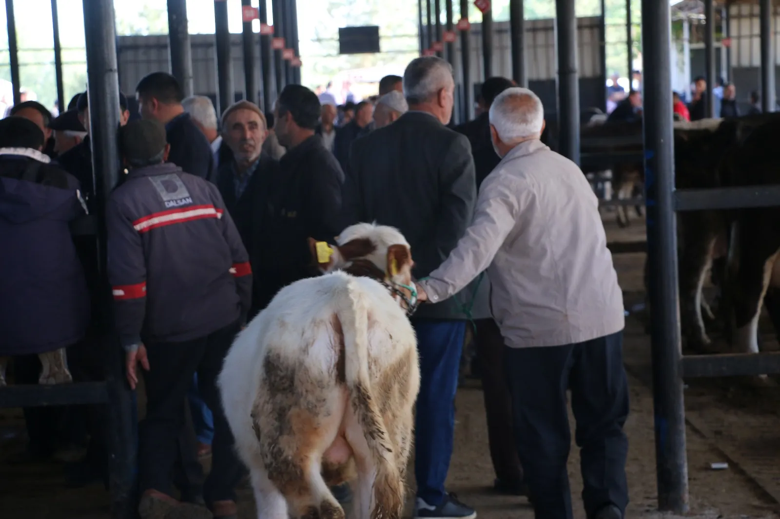 Kütahya’da kurbanlık pazarlıkları başladı 