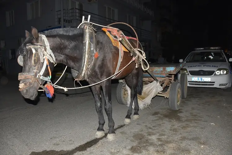 Alkollü olarak at arabası kullandı, cezayı yedi