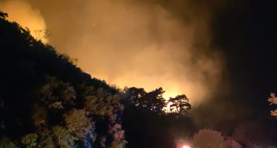 Aydın'da çıkan orman yangınına müdahale ediliyor