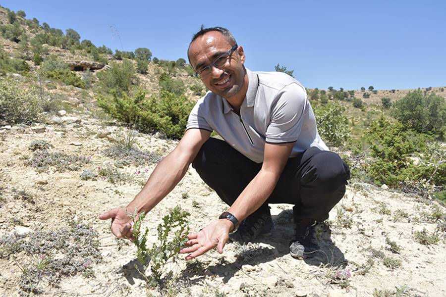 Doğa tutkunu akademisyenin çevre bilinçlendirme çabaları