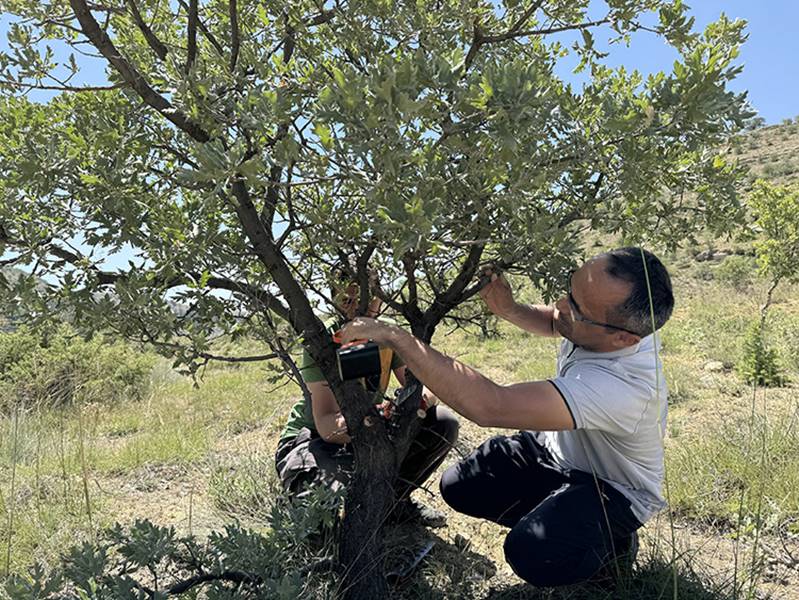 Doğa tutkunu akademisyenin çevre bilinçlendirme çabaları