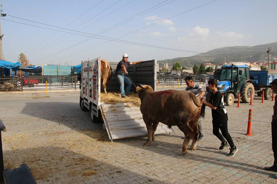 Kütahya’da kurban pazarında son durum