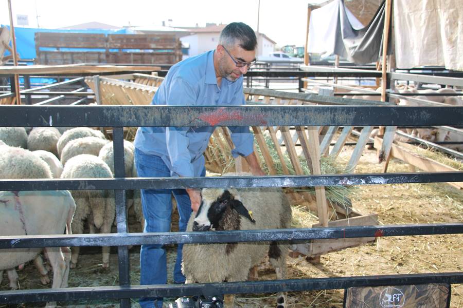 Kütahya’da kurban pazarında son durum