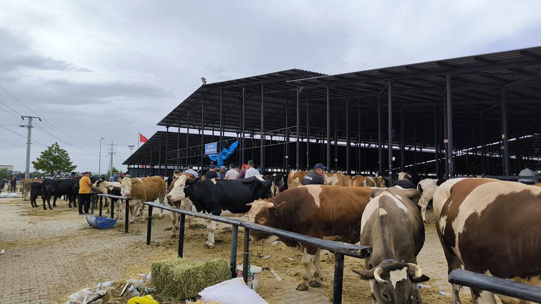 Kütahya kurban pazarında hareketlilik sürüyor