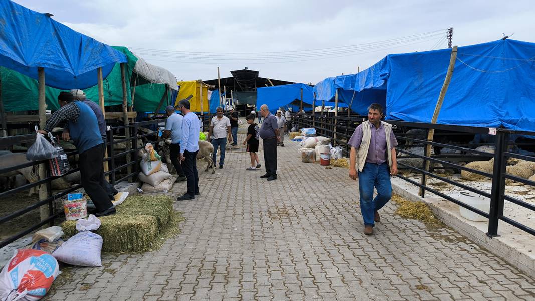 Kütahya kurban pazarında hareketlilik sürüyor