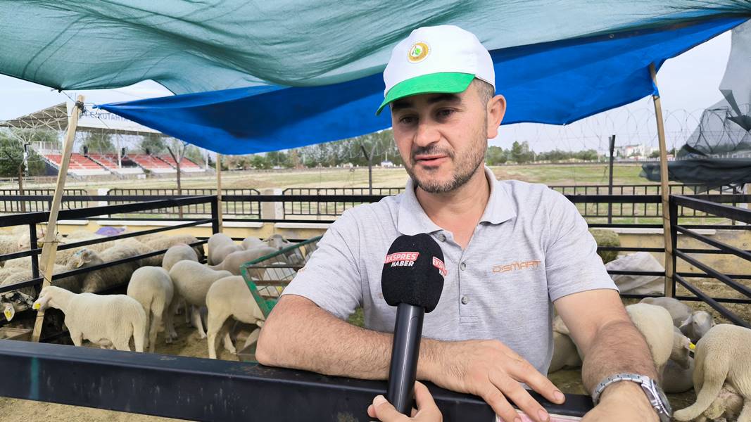 Kütahya kurban pazarında hareketlilik sürüyor