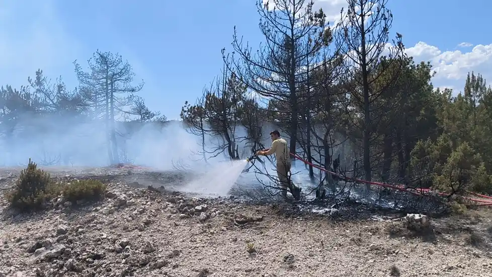 Kütahya'da ormanlık alanda çıkan yangına müdahale ediliyor