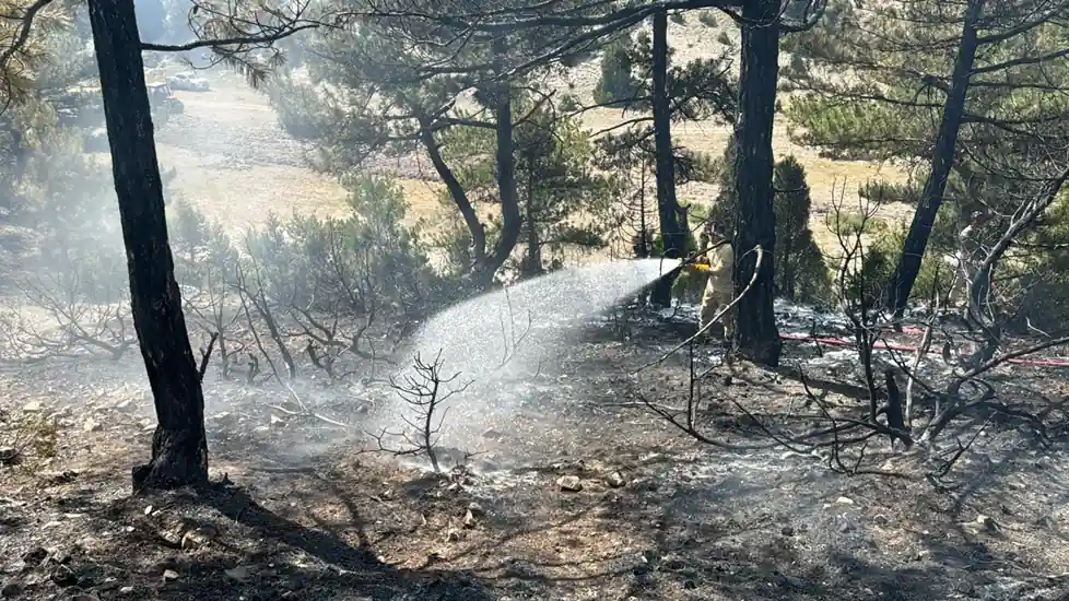 Kütahya'da ormanlık alanda çıkan yangına müdahale ediliyor