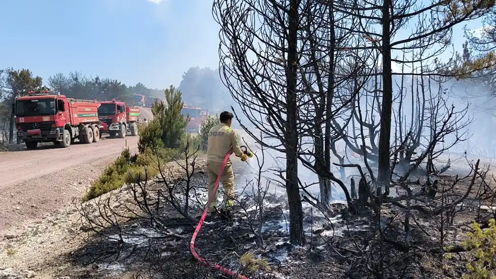 Kütahya'da ormanlık alanda çıkan yangına müdahale ediliyor