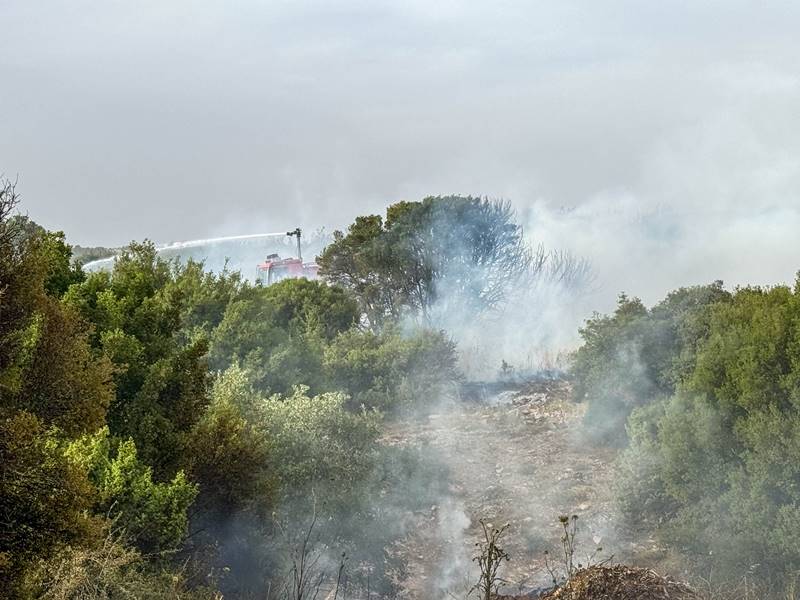 Uşak'ta makilik alanda çıkan yangın söndürüldü