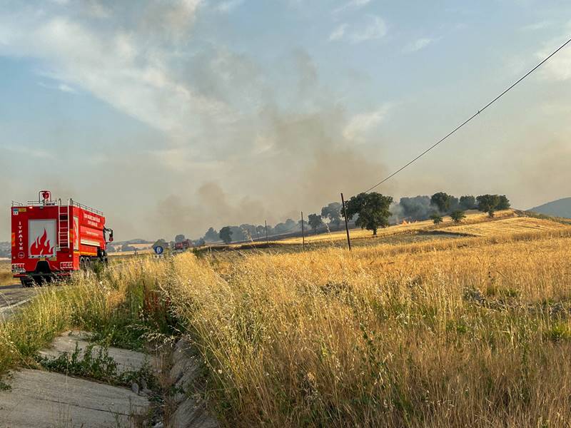 Uşak'ta tarım arazisinde başlayıp ormana sıçrayan yangın kontrol altına alındı