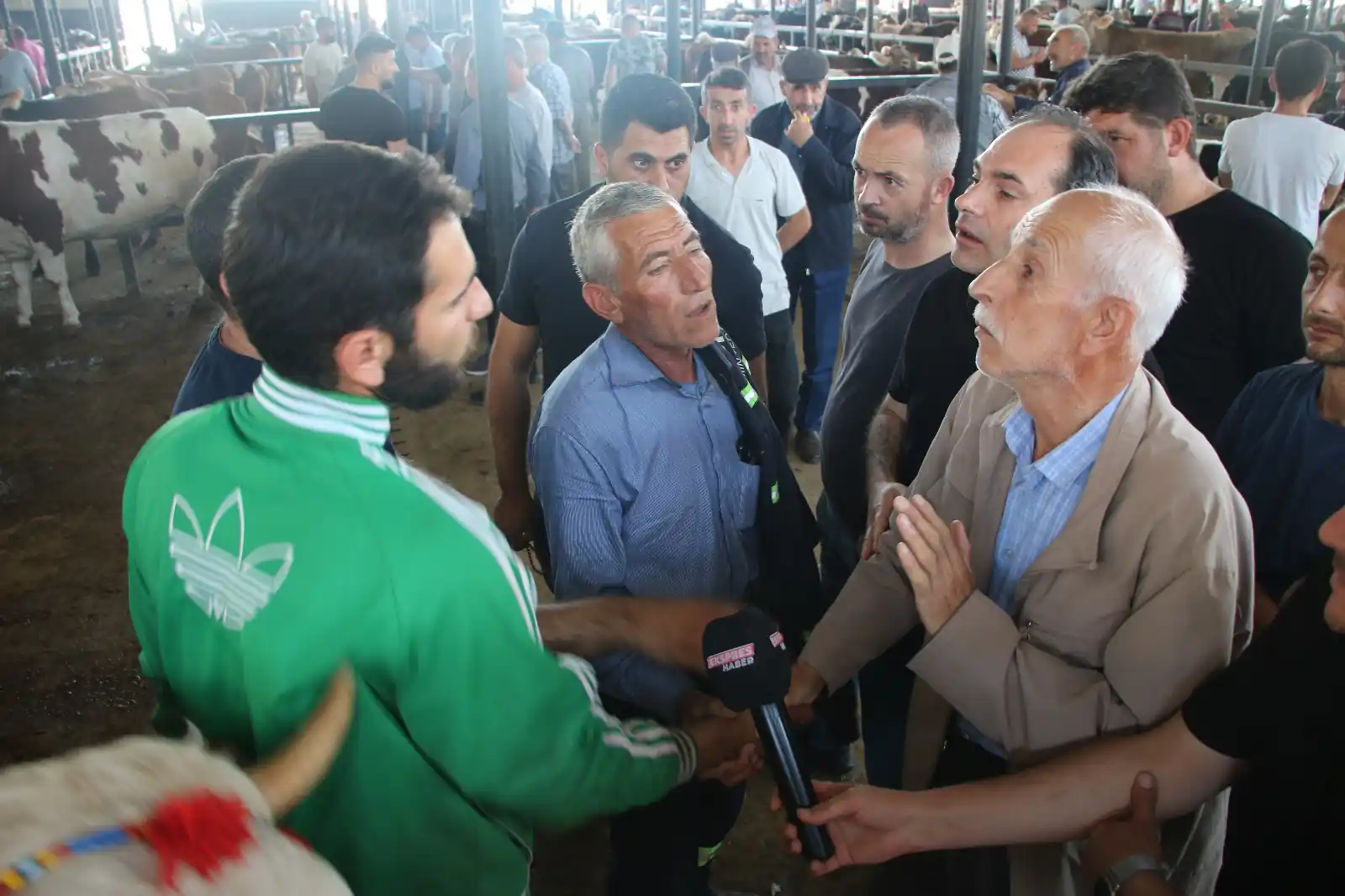 Kütahya’da kurbanlık fiyatlarında son durum 