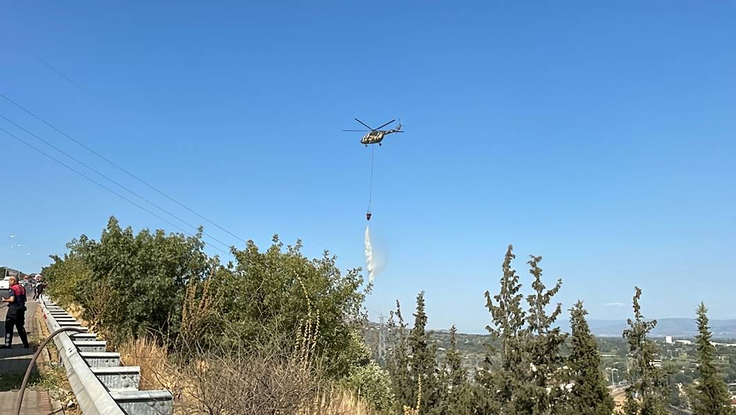 Aydın'da ağaçlık alanda çıkan yangın kontrol altına alındı