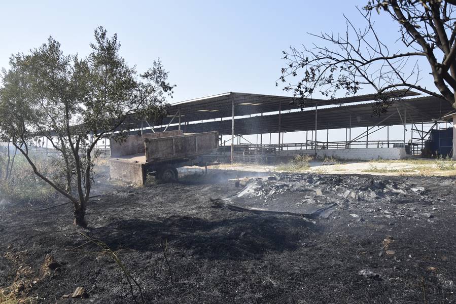 İzmir'de tarım arazisinde çıkan yangın söndürüldü